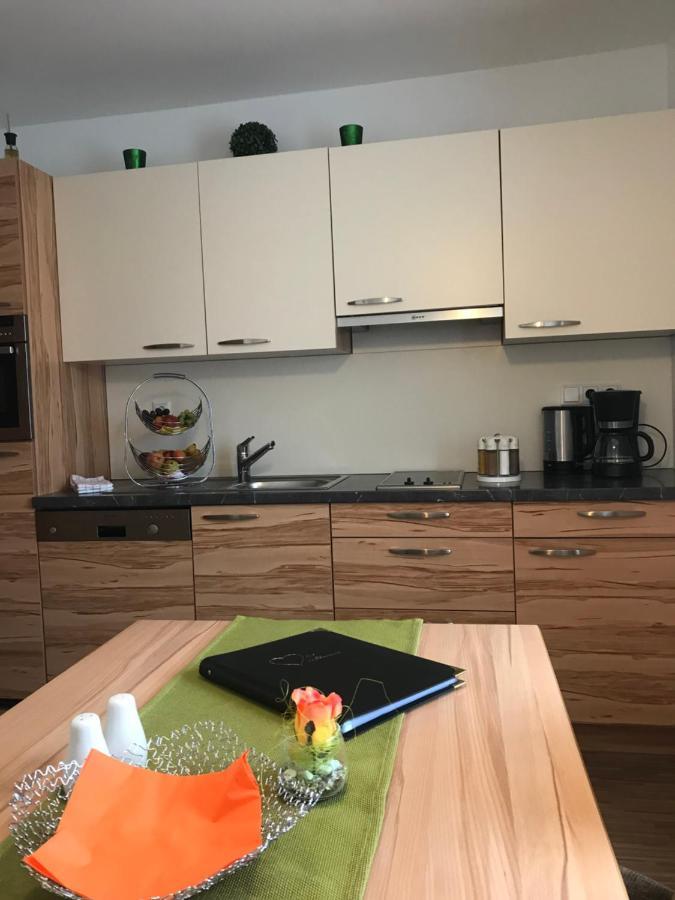 Haus Panorama Leilighet Schladming Eksteriør bilde