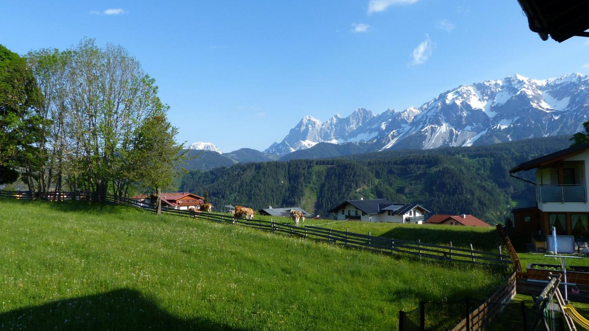 Haus Panorama Leilighet Schladming Eksteriør bilde